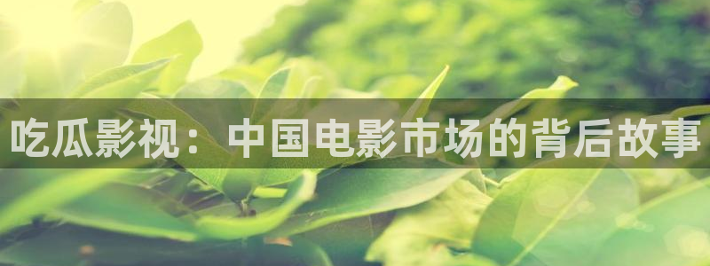 爱丫爱丫电视剧在线观看免费高清完整：吃瓜影视：中国电影市场的背后故事