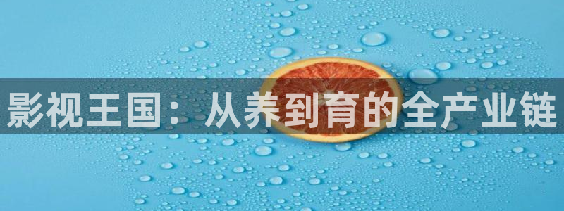 爱丫爱丫兄妹在线影院电视剧：影视王国：从养到育的全产业链
