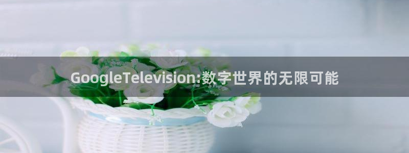 爱丫爱丫影院最新电视剧：GoogleTelevision:数字世界的无限可能