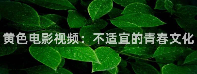 爱丫爱丫免费观看电视剧短剧：黄色电影视频：不适宜的青春文化