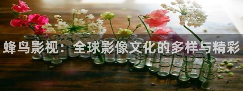 欧美爱丫爱丫电视剧在线观看免费播放：蜂鸟影视：全球影像文化的多样与精彩