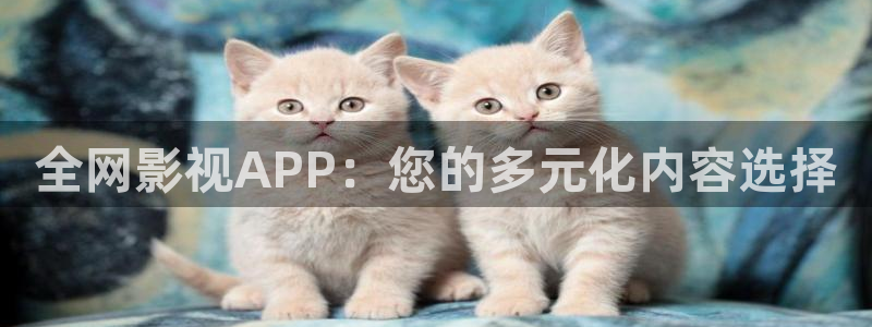 爱丫爱丫影院电视剧在线观看2023：全网影视APP：您的多元化内容选择