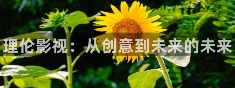 爱丫爱丫免费观看高清电视剧网：理伦影视：从创意到未来的未来