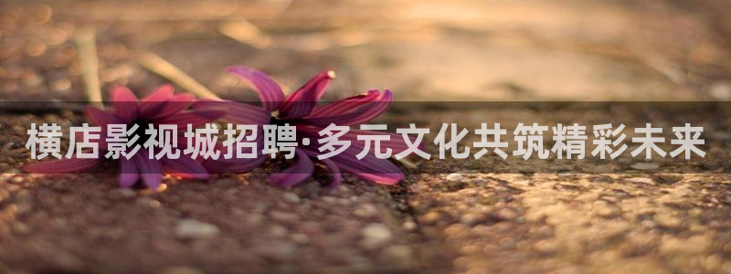 爱丫爱丫在线影院电视剧：横店影视城招聘·多元文化共筑精彩未来
