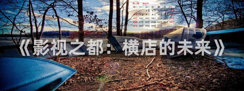 爱丫爱丫电视剧免费观看24集：《影视之都：横店的未来》