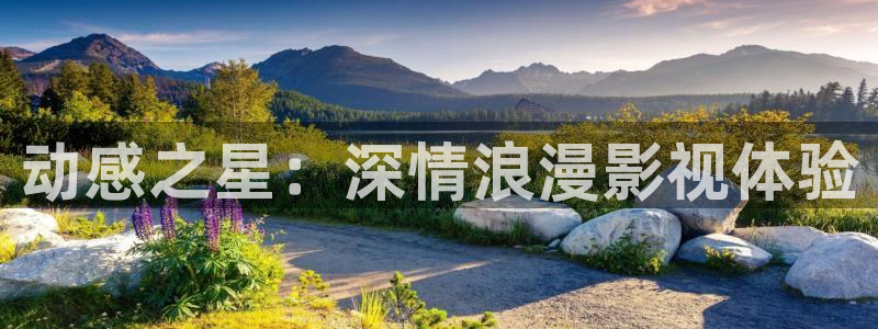 爱丫爱丫影院最新电视剧免费观看：动感之星：深情浪漫影视体验