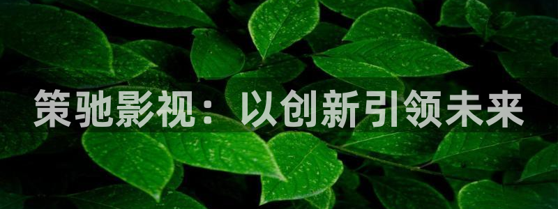 爱丫爱丫电视剧全集免费：策驰影视：以创新引领未来