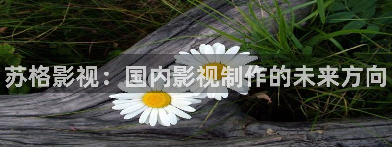 爱丫爱丫兄弟在线影院电视剧：苏格影视：国内影视制作的未来方向